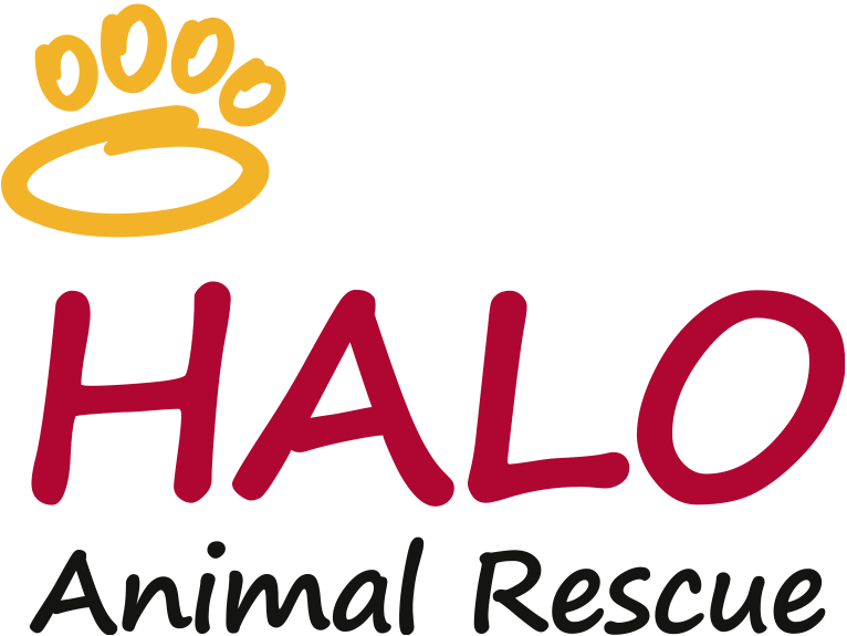 HALO Animal Rescue logo