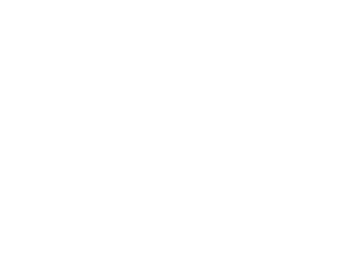Homeless Action Network of Detroit logo