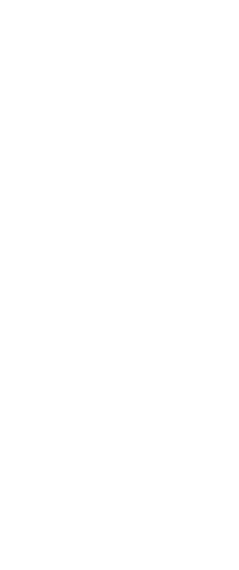 Mesa Arts Center Foundation logo