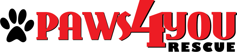 PAWS4you Rescue logo