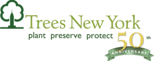 Trees New York logo