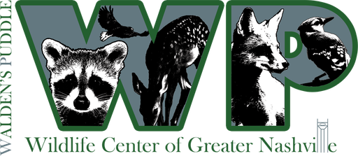 Walden's Puddle logo